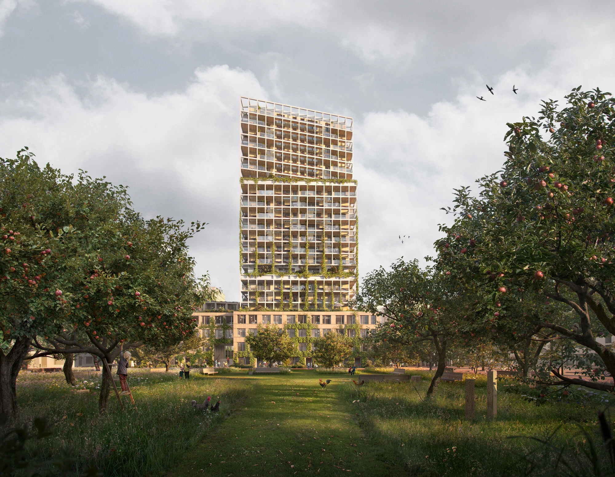 生命周期丨荷兰阿姆斯特丹丨HPP Architects,HOH Architecten-26