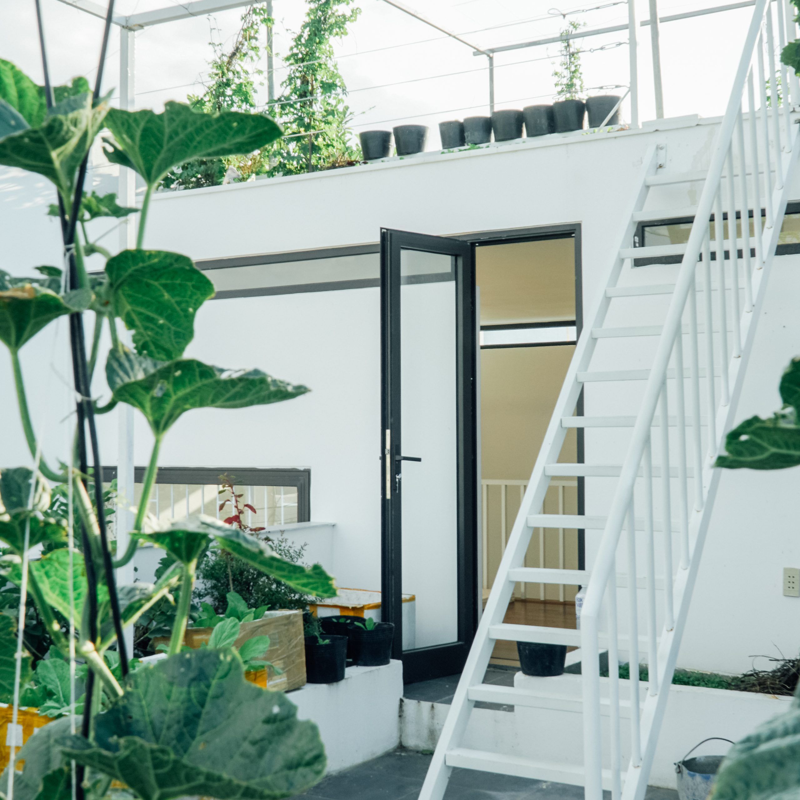 绿意盎然的四口之家-4