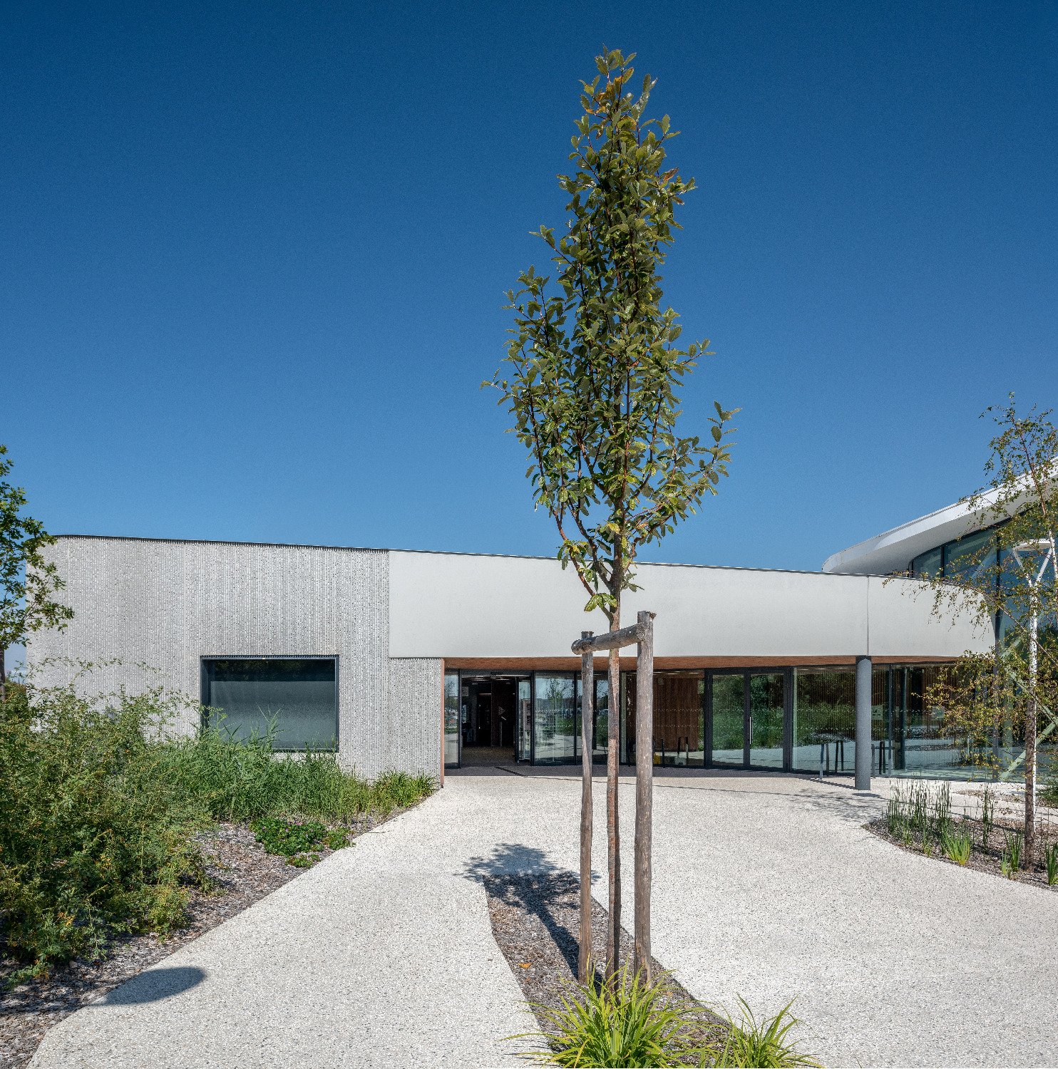 体育馆丨MultiplexeAquatique-211