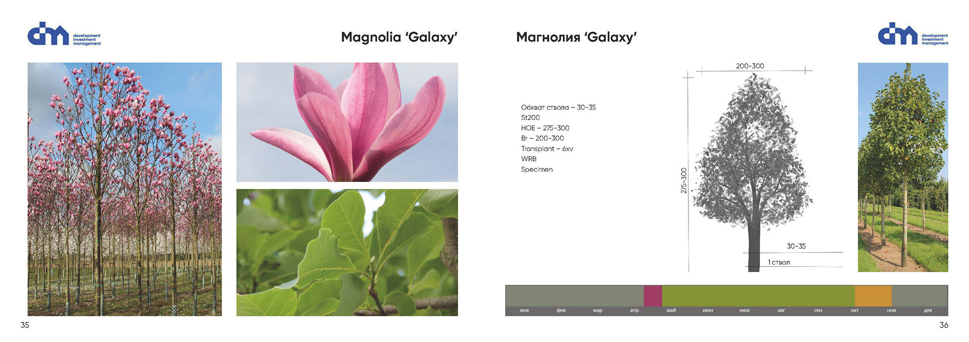 Greening standard for DIM Development-16