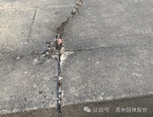 英魂长驻,青山焕新——园林股份修缮皖南事变三烈士墓-12