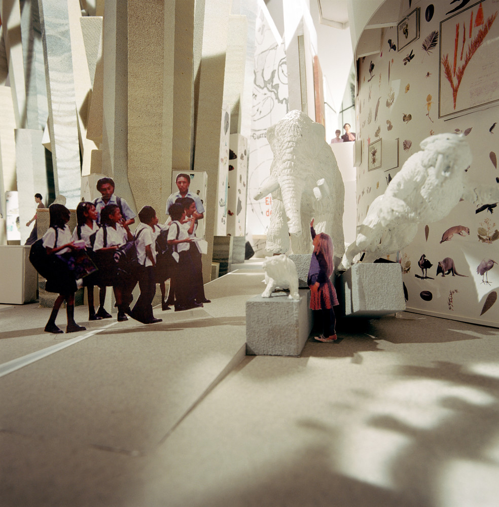 In Progress The Biomuseo  Frank Gehry-55