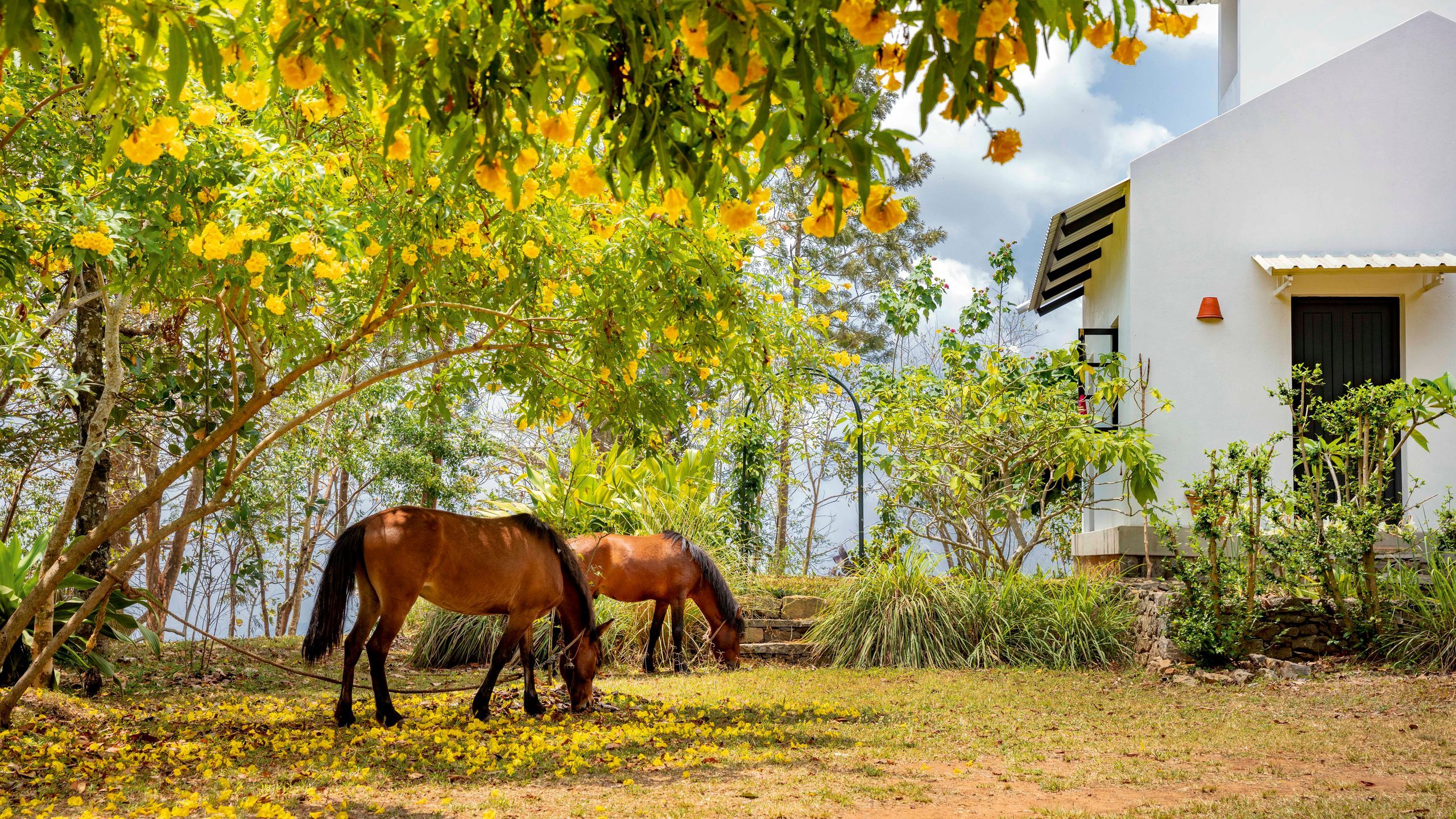 Isla’s Ridge 客舍丨印度-2