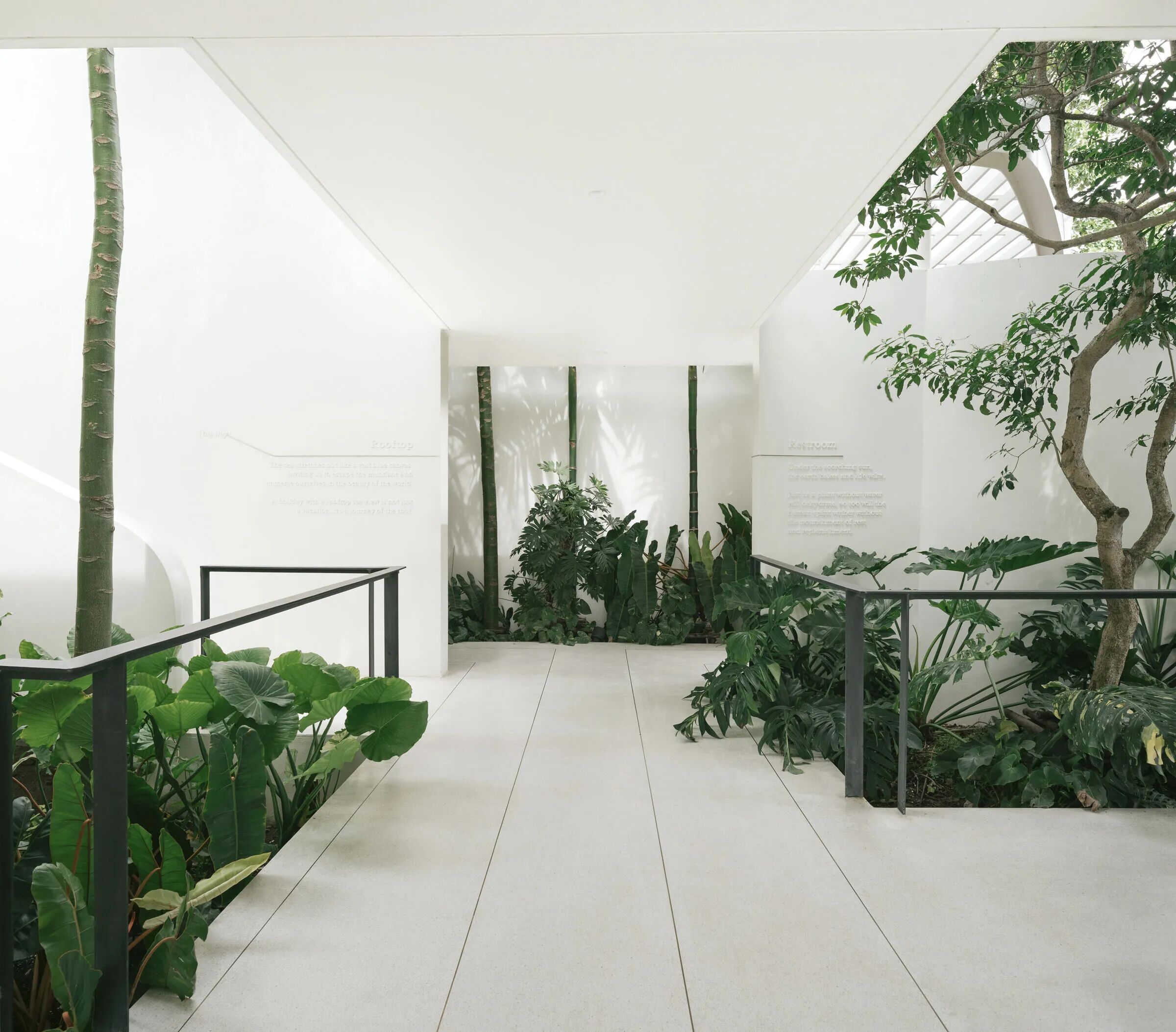 邦萨拉湾潮汐;邦萨拉潮(因为不太清楚原文具体语境中Tide和Bangsaray确切所指,通常Tide是潮汐,Bangsaray常指邦萨拉 ,这里给出相对可能的一种翻译) 丨泰国-23