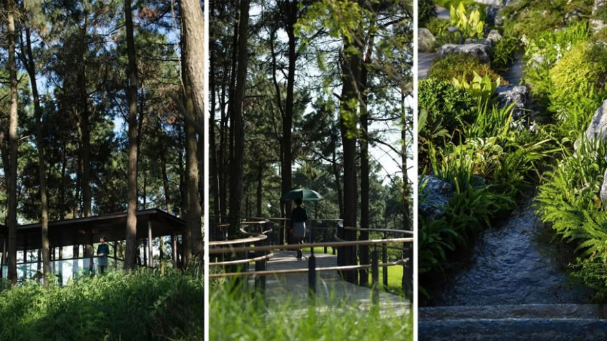 南京颐养中心丨中国南京丨LAURENT罗朗景观·JYL创研工作室-88