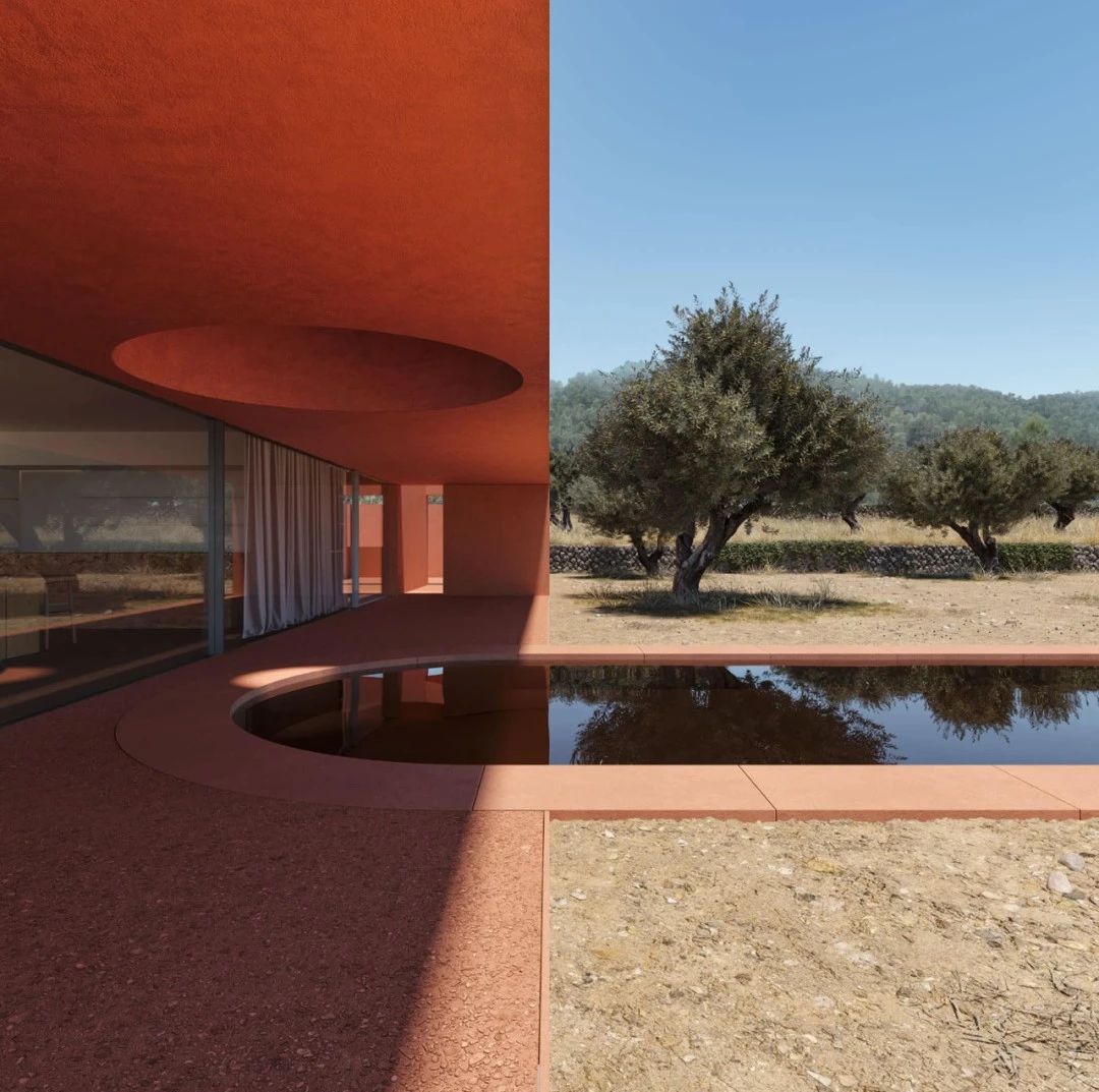 橄榄林屋丨西班牙丨Balzar Arquitectos-4