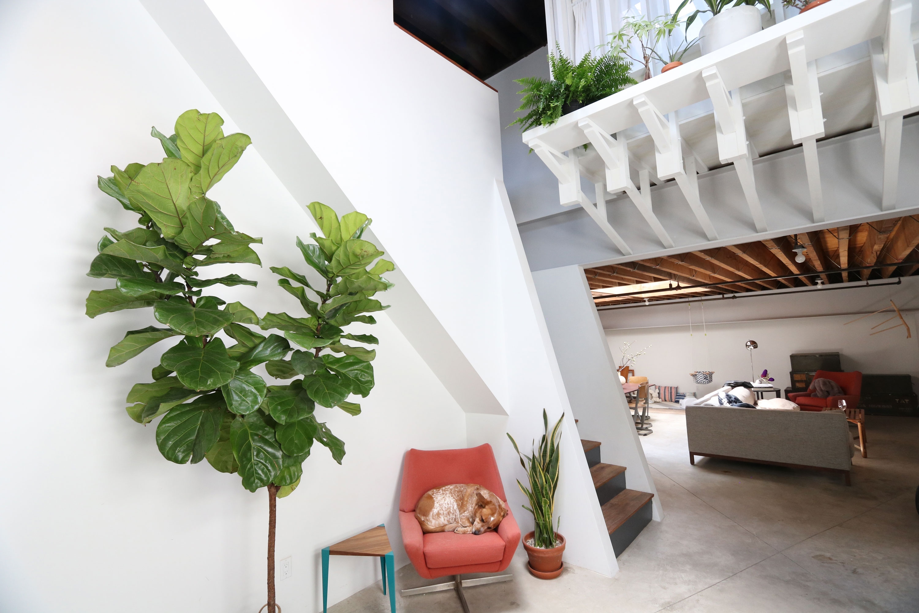 管理员公寓丨美国纽约丨Camber Studio-11