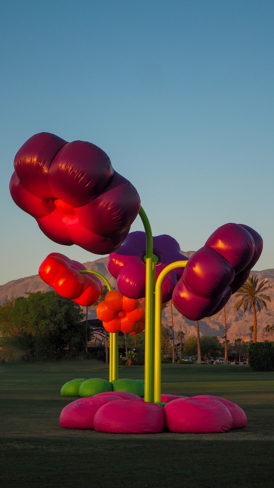 2025年科切拉艺术计划丨Public Art Company（PAC）等多位艺术家-40