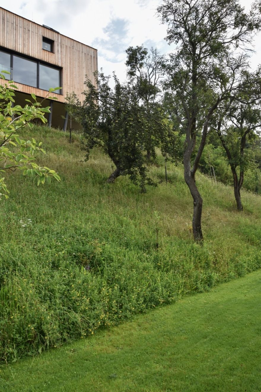 绿色和谐的坡地住宅花园设计丨捷克丨Tomáš Beránek-30