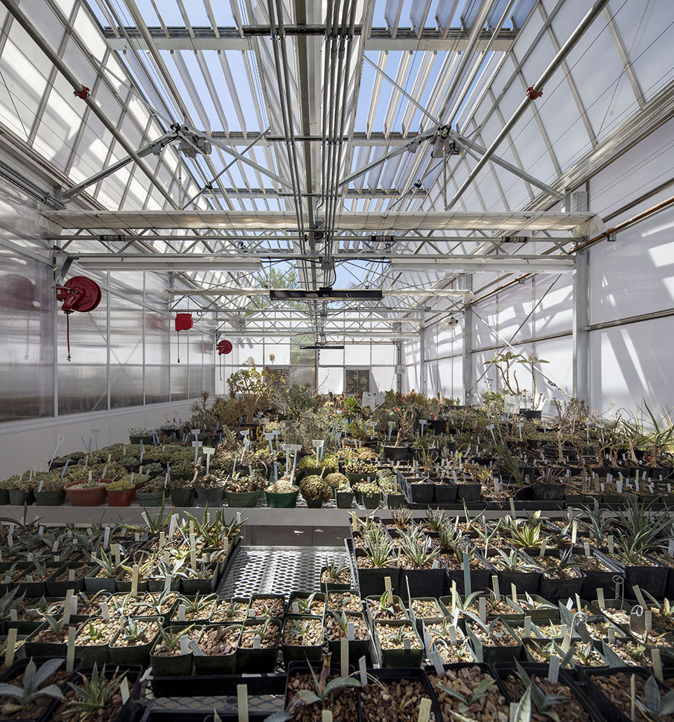 沙漠植物园一期丨美国-88