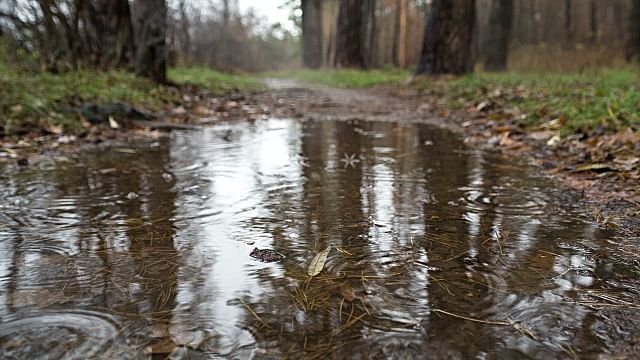 丨日本福冈丨Steven Holl-24