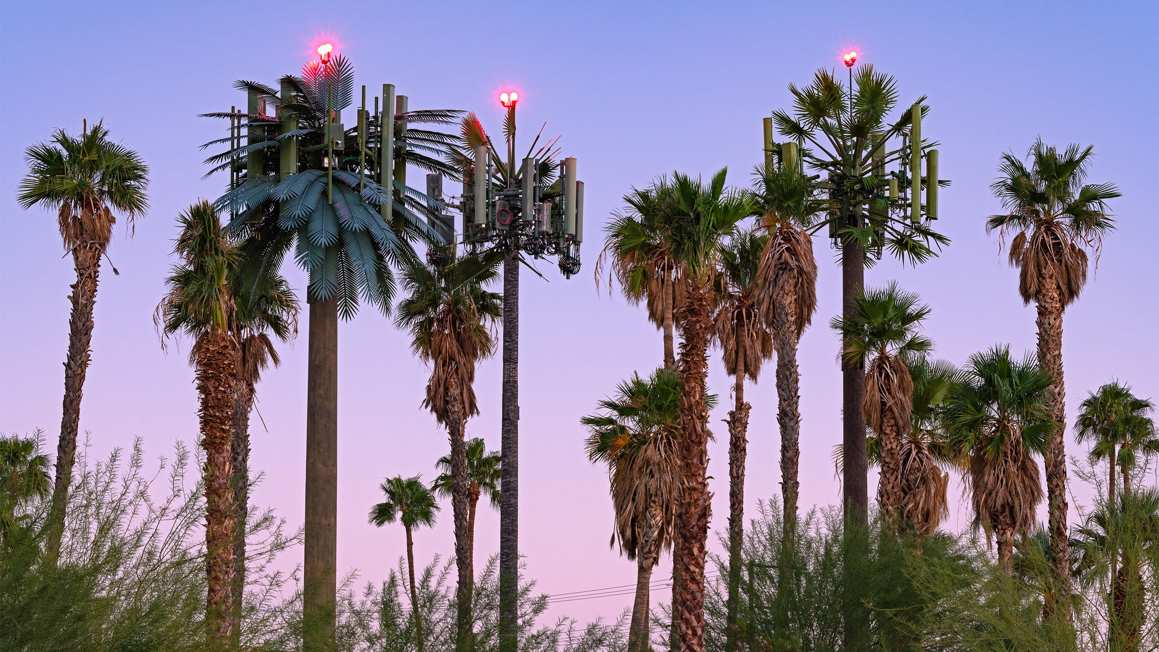 2021 年最佳建筑摄影项目 | 从马德里野兽派建筑到美信号棕榈树伪装塔-0