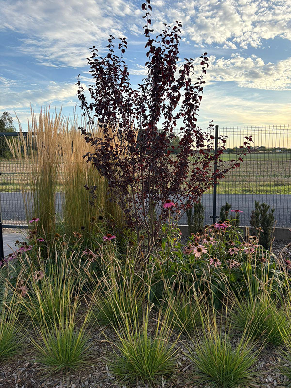 充满轻盈与和谐的花园设计-10