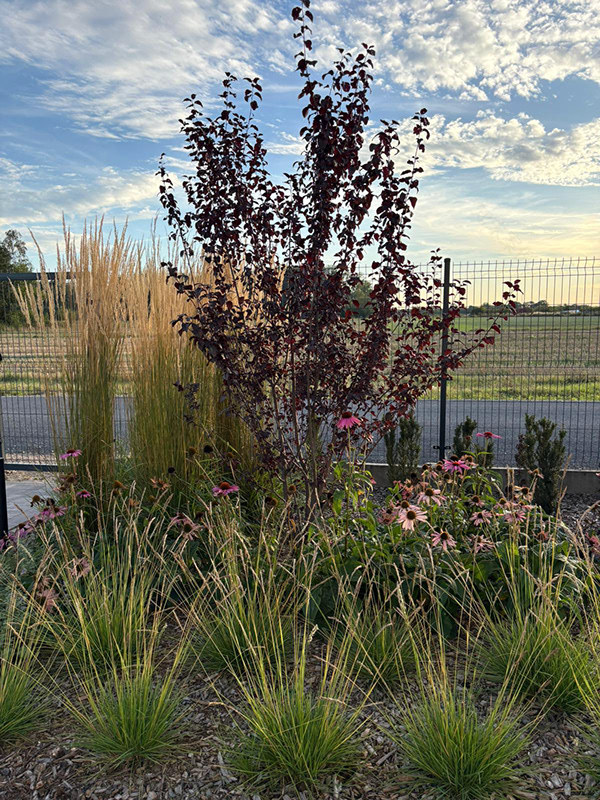 充满轻盈与和谐的花园设计-10