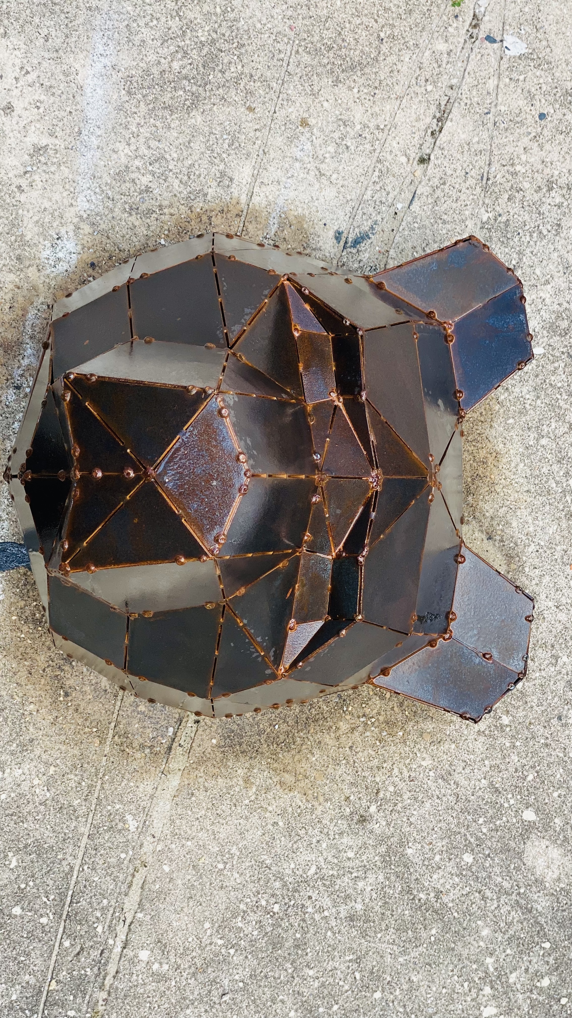 Ursus Americanus Luteolus - Black Bear Golf Club 2022-7