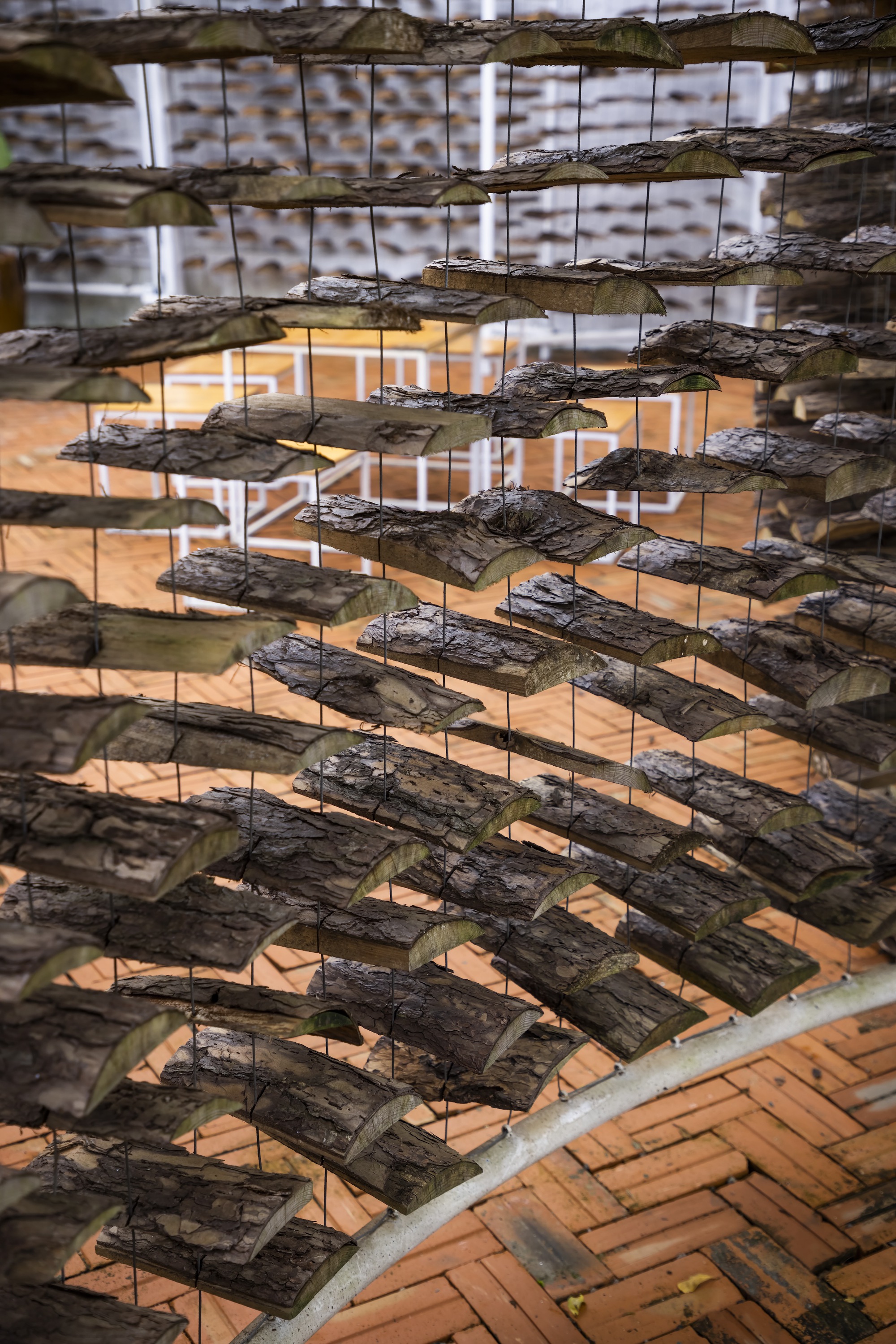 采茶，开花丨越南-44