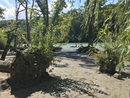 «RHÔNE VERT»,介于自然森林与公园树木之间丨Valérie Hoffmeyer(景观建筑师,记者)-9