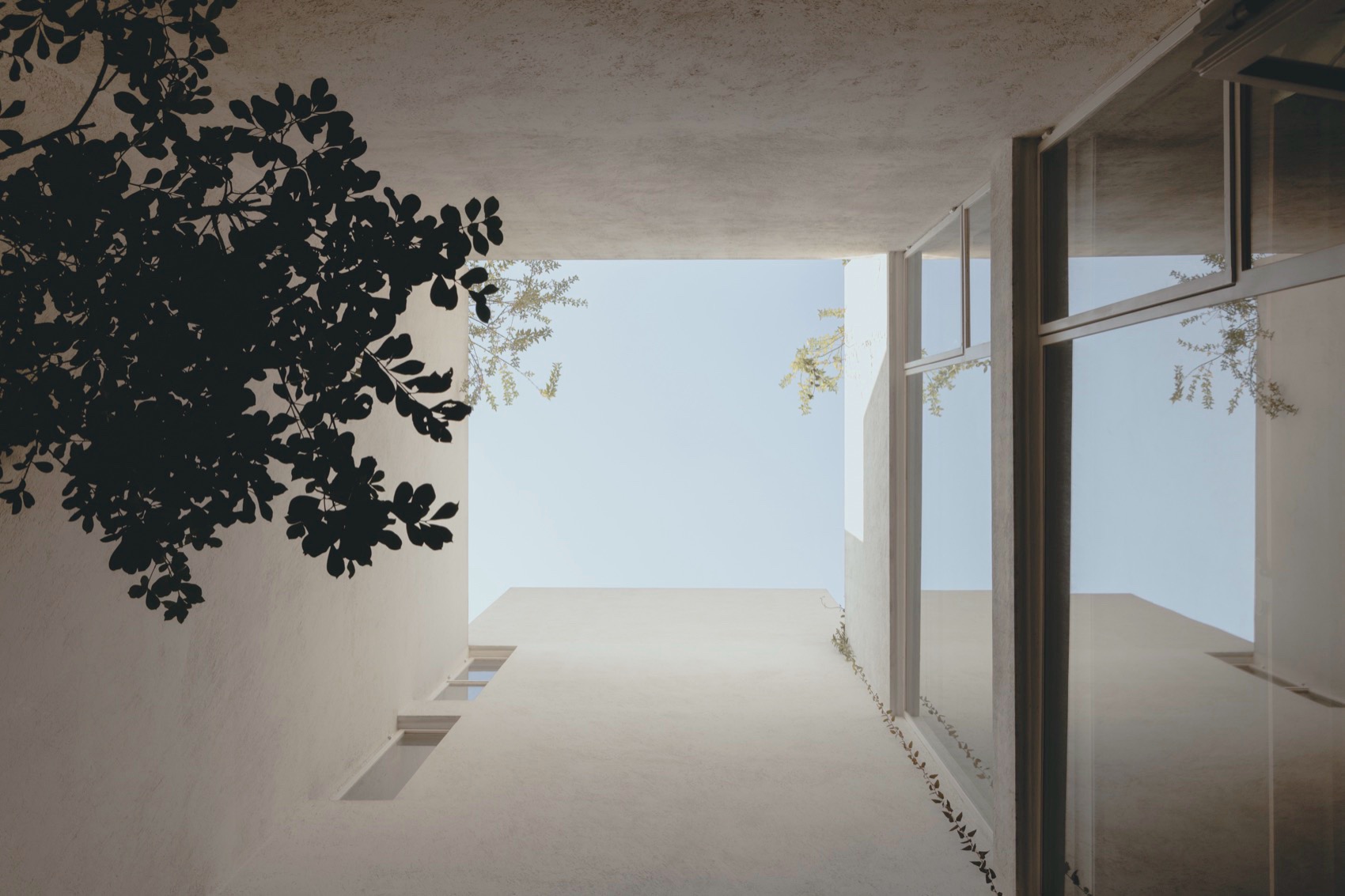 Antonio Solá公寓楼,墨西哥 / Módica Ledezma-23