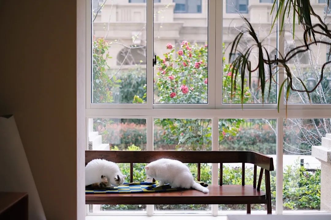 90后女孩回乡打造的梦幻家居丨中国浙江丨屋主路问-12