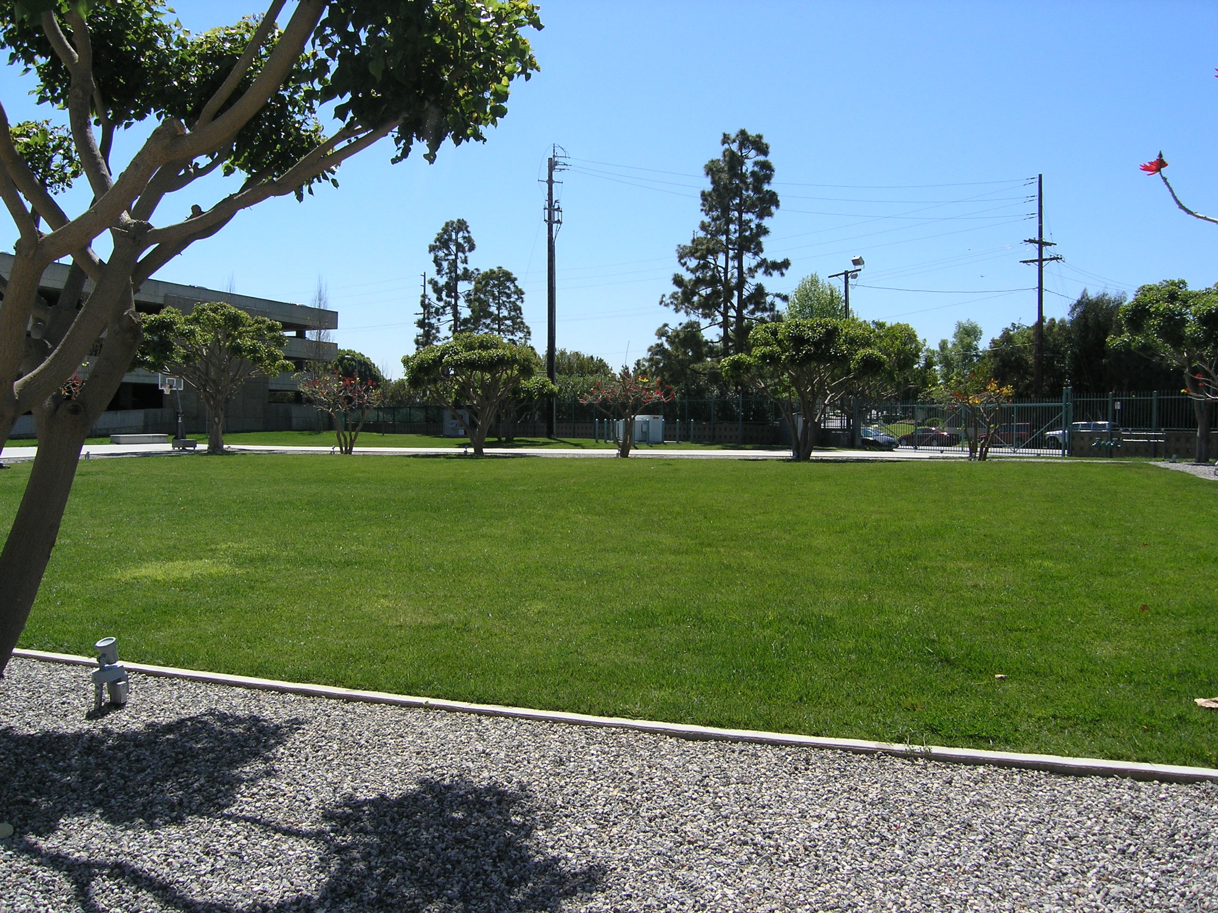 丨美国洛杉矶-22