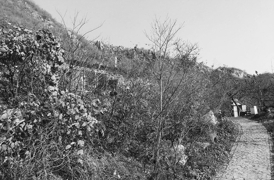 满栗台 · 重构画意的山地木构建筑丨中国北京丨神奇建筑研究室-167