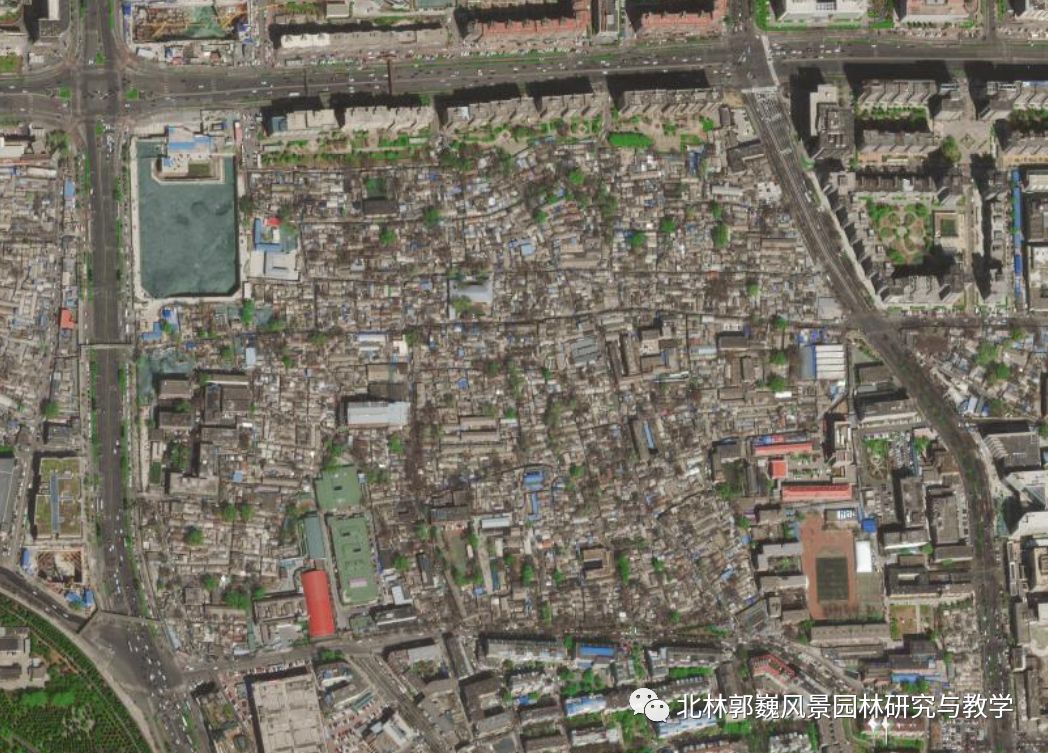 "三元"更新计划 | 磁器口东活力生命体的营造-13