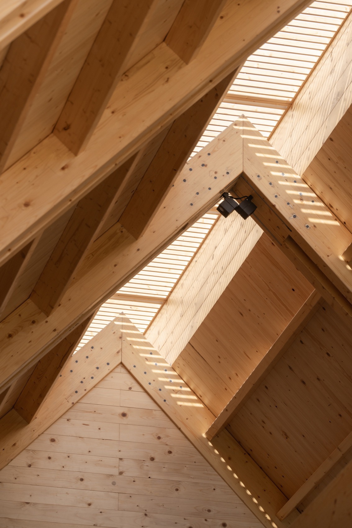 江山万里  萌宠乐园丨中国宁波丨a9a建筑设计事务所-94