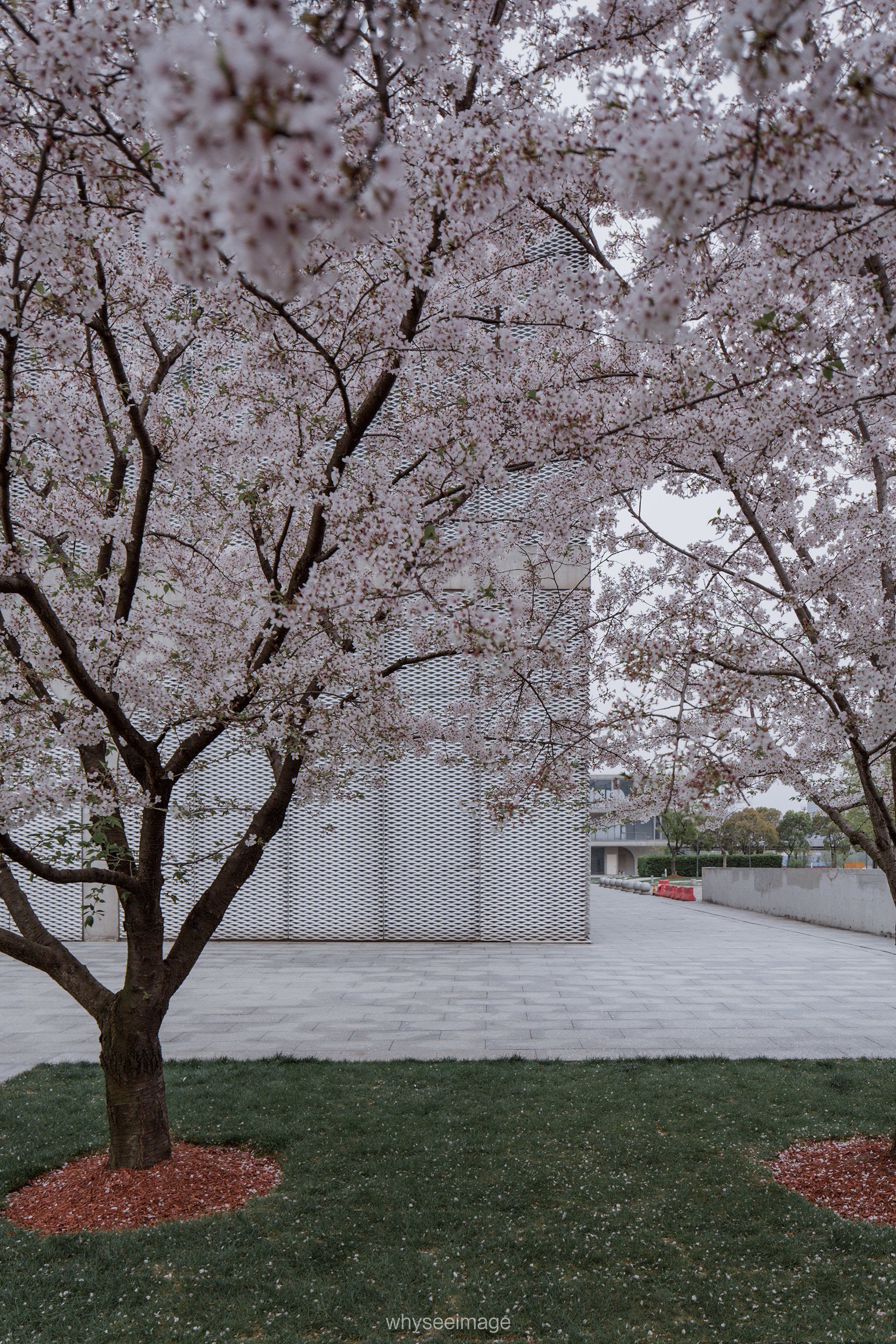 樱花+龙美术馆丨中国上海丨大舍建筑设计工作室-84