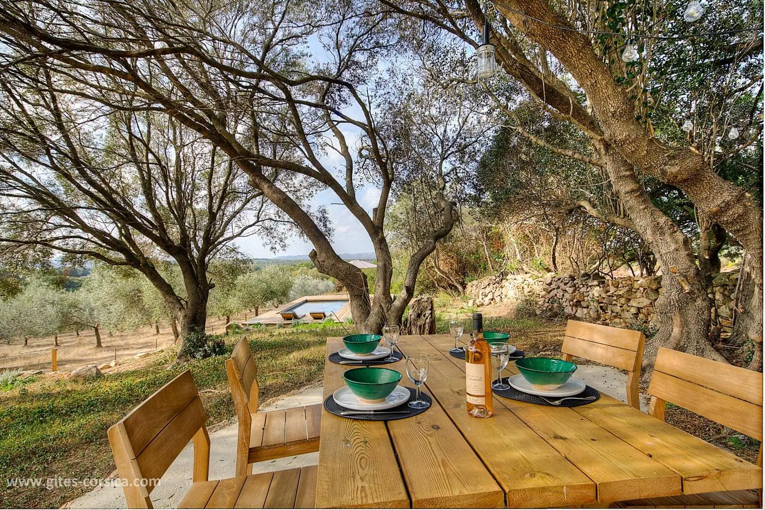 塞杰（Sajé）-11