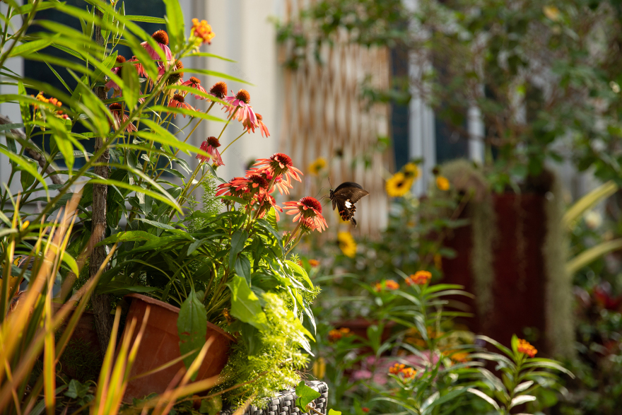 深圳南海意库5号楼屋顶花园-33