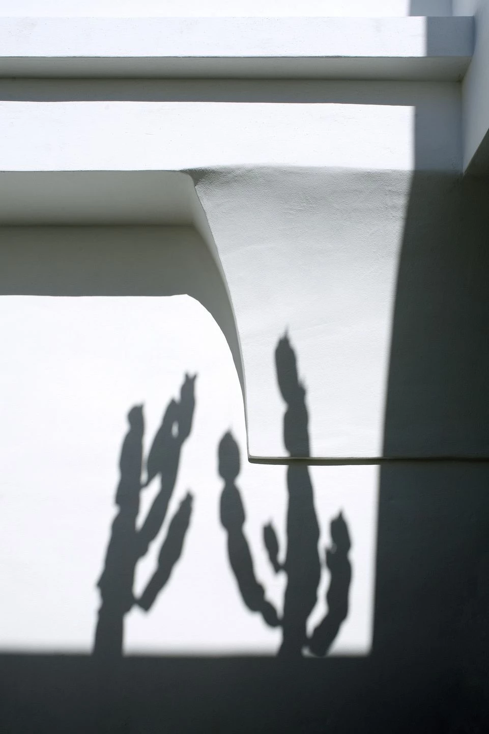 意大利古老油磨坊的现代重生-25