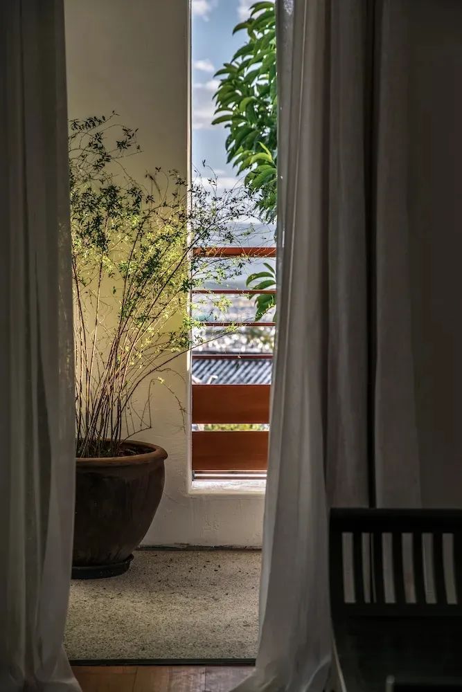 五姐妹同住“乘风破浪的家”，《梦想改造家》实现最美抱团养老-188