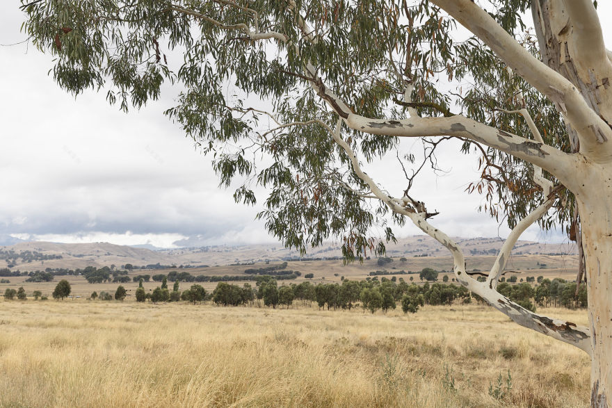 德拉蒂特酒窖门丨澳大利亚丨露西·克莱门格建筑师事务所-33