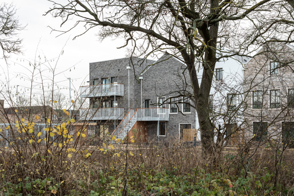 丨英国剑桥丨Mole Architects-16