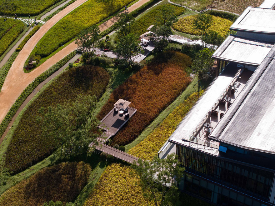 丘山阅田园文化村丨乐道景观-65