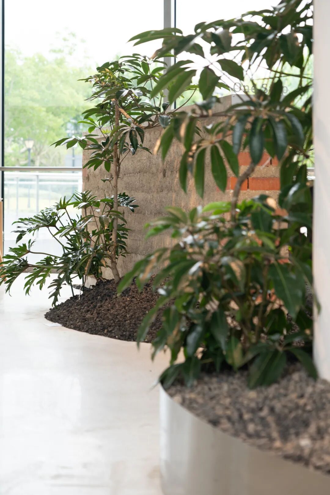 一尺花园前滩休闲公园店-54