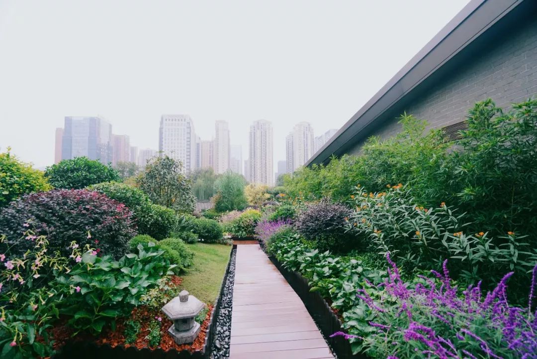 空中花园的粉紫色浪漫 | 乐梵造园的秋韵花境改造-26