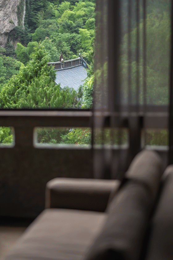 雁荡山风景区:业态复活与更新（山林系列）丨中国温州丨慢珊瑚设计-148