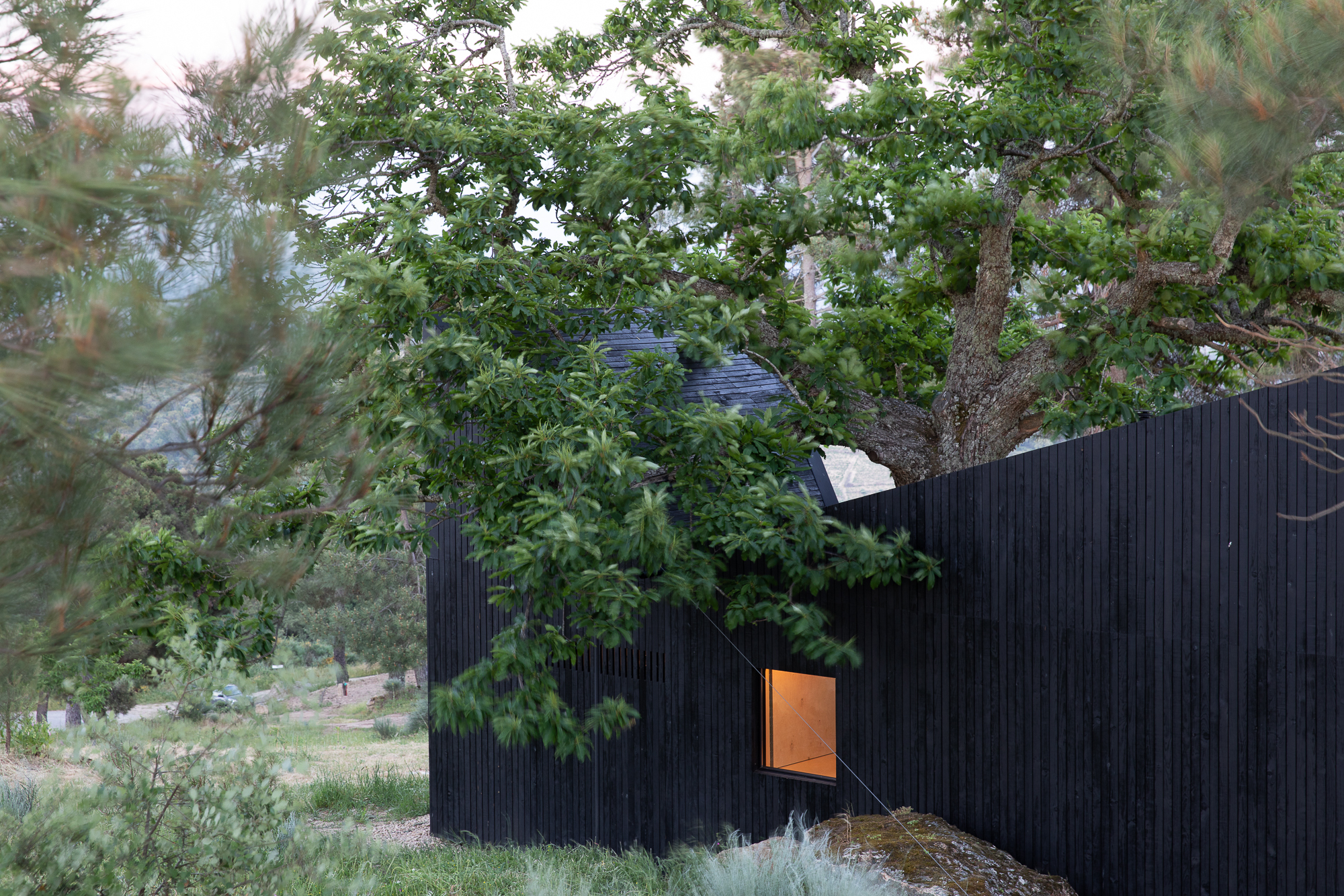 栗树屋丨葡萄牙丨João Mendes Ribeiro-60