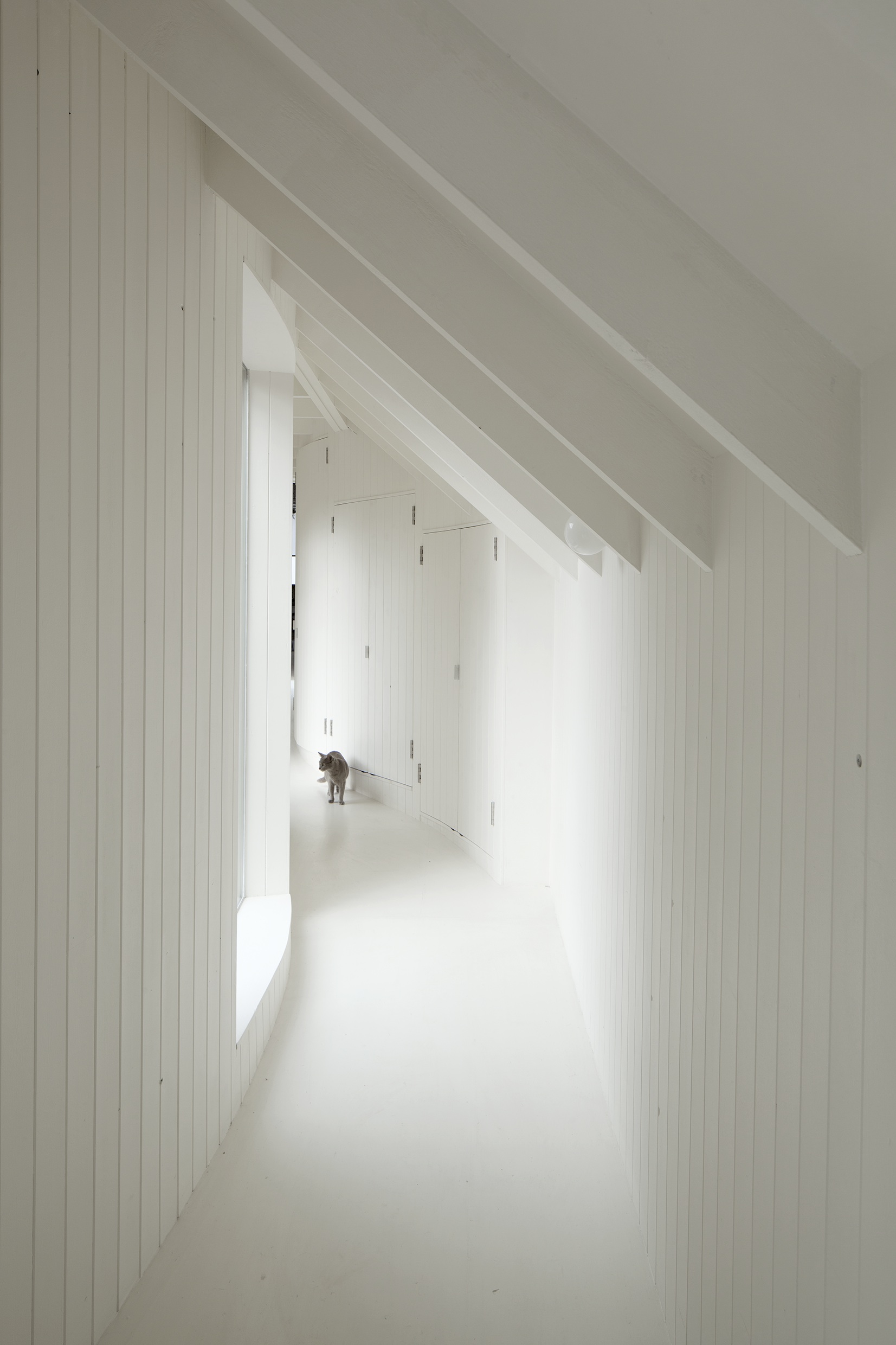 Tree House | 6a architects-25