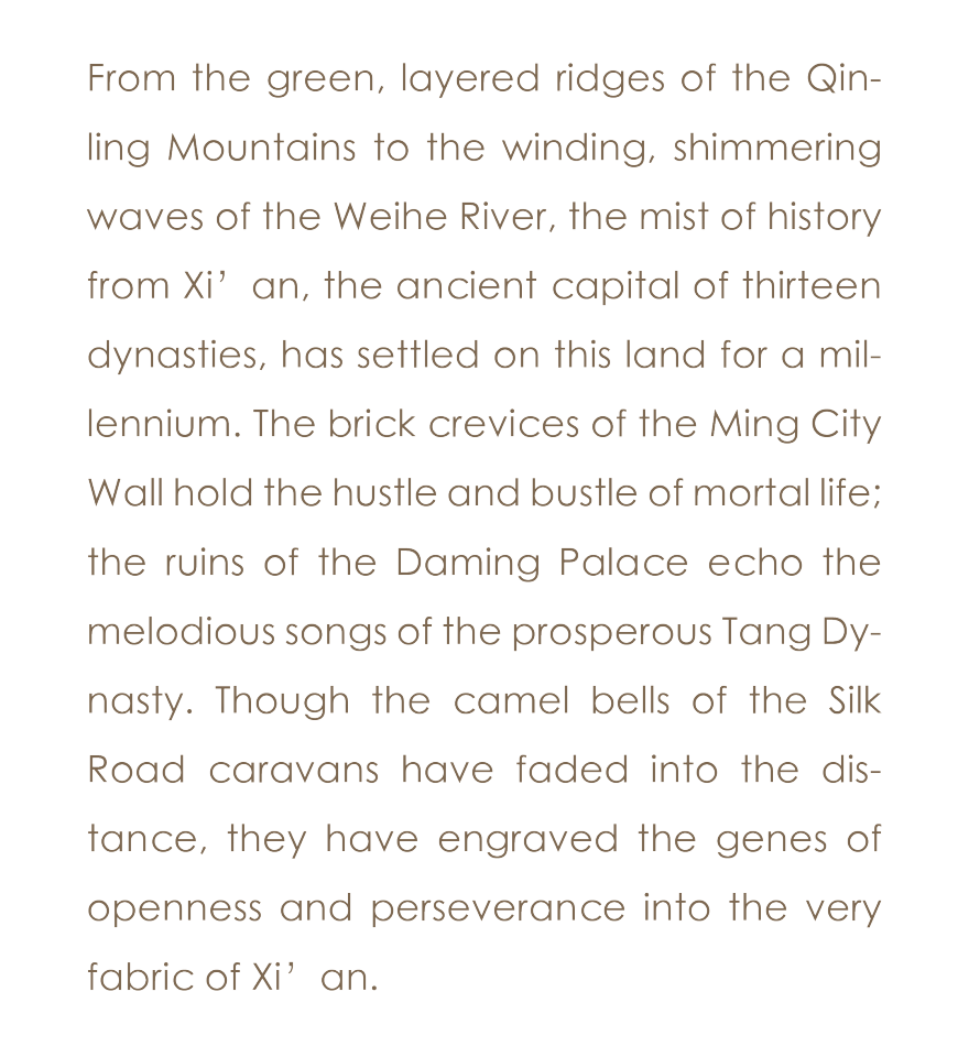 西安·华润世园润府195户型丨中国西安丨深圳市布鲁盟室内设计有限公司-2