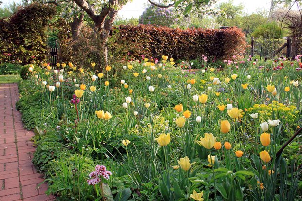 德普莱纳的小菜园丨德国柏林丨Büro Christian Meyer-2