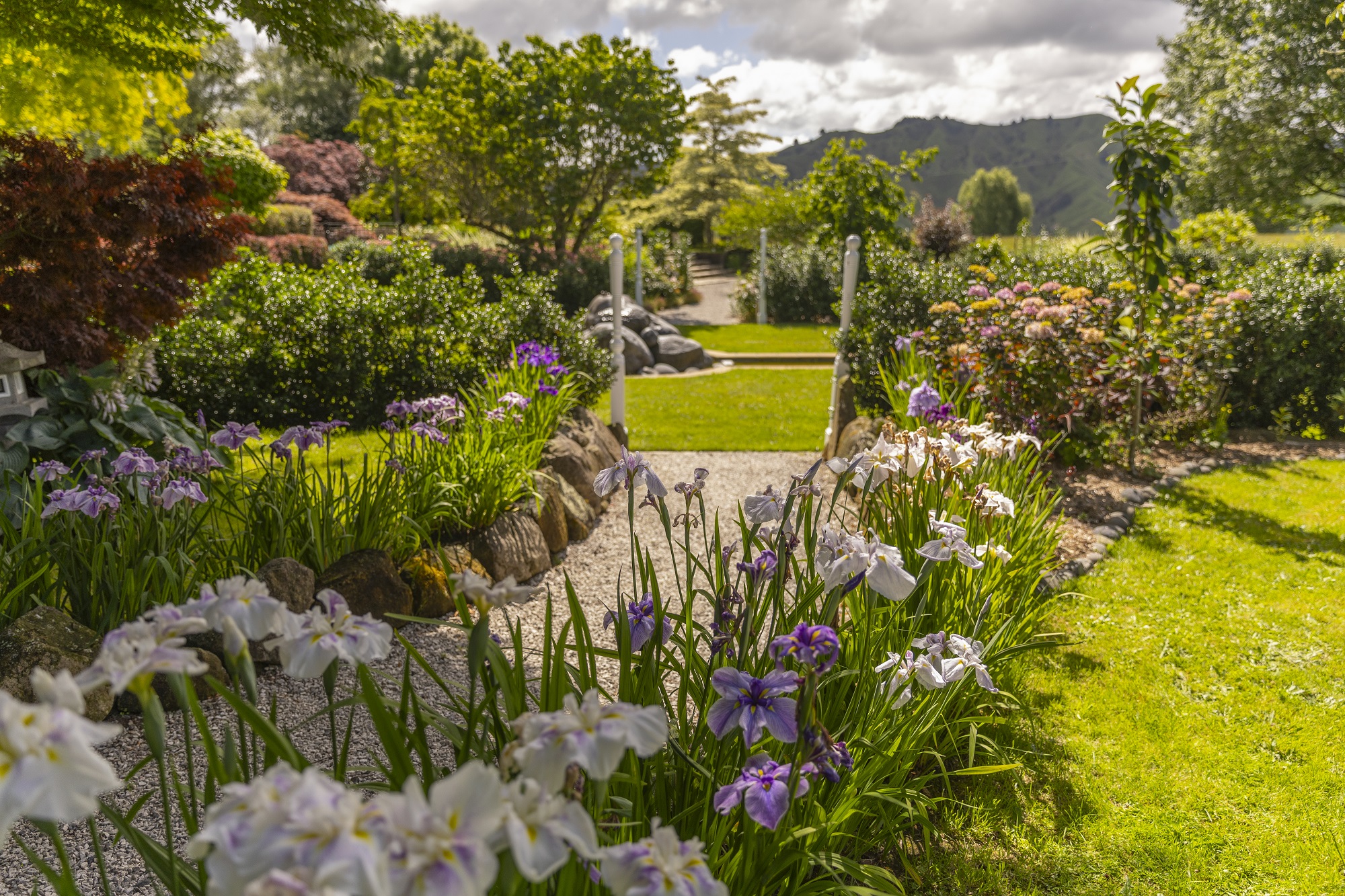 Omaka Lodge花园丨Chris（景观及室内设计师）-7