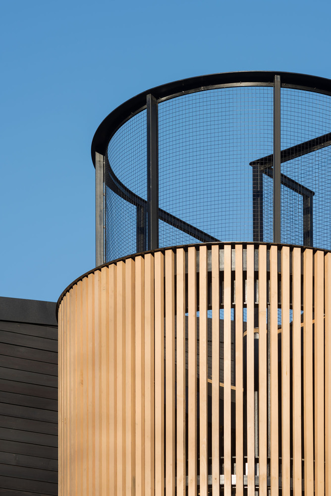 俄罗斯莫斯科 Oblast 老松树环绕的生态家园-68