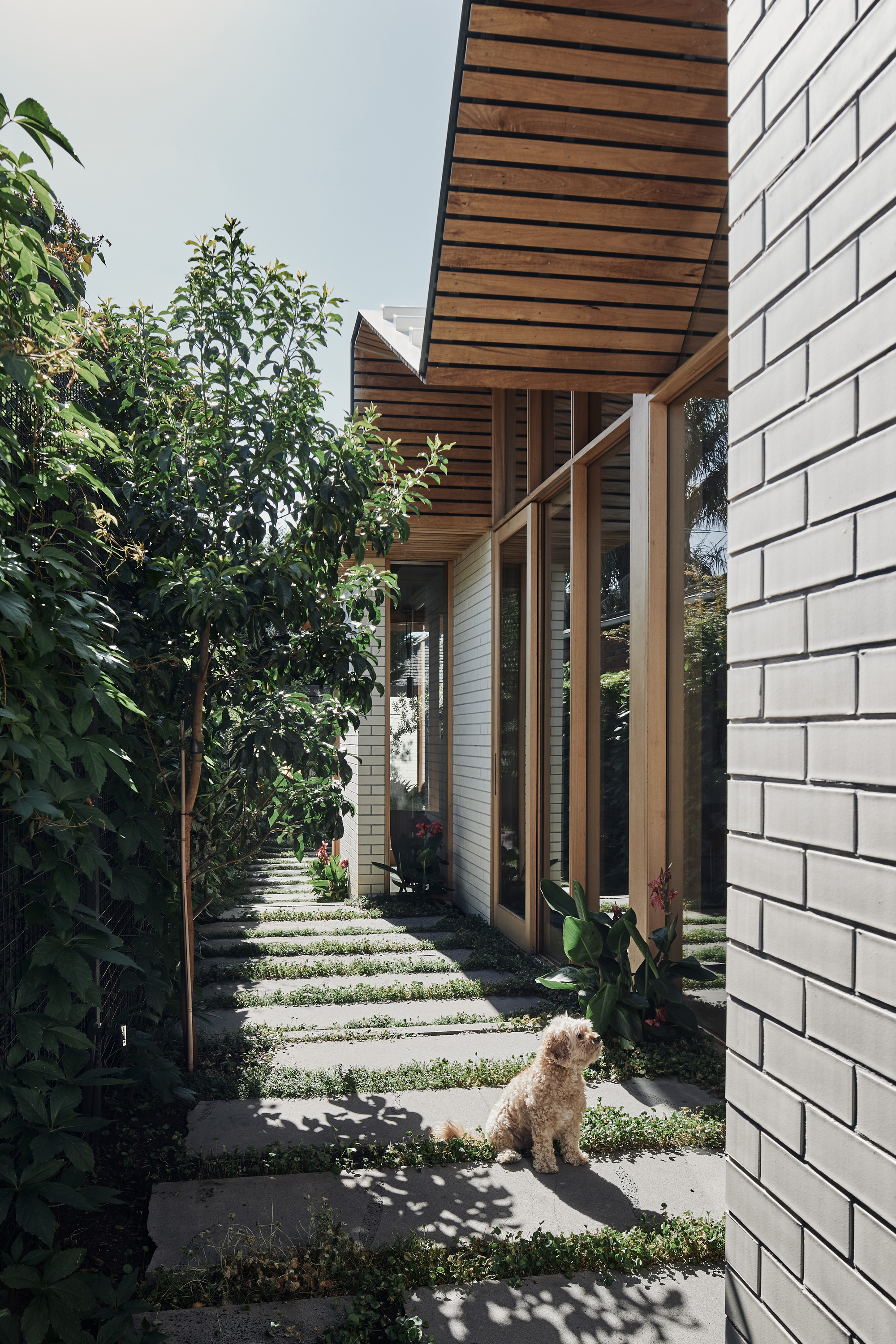 澳洲豪华别墅“波纹之家”-1