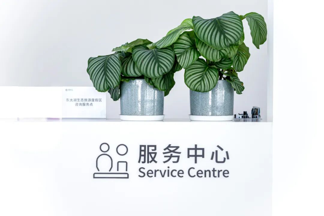 数字艺术的浪漫与梦幻-68