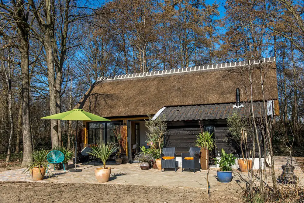 荷兰木屋假期 | 绿意盎然的现代设计-18