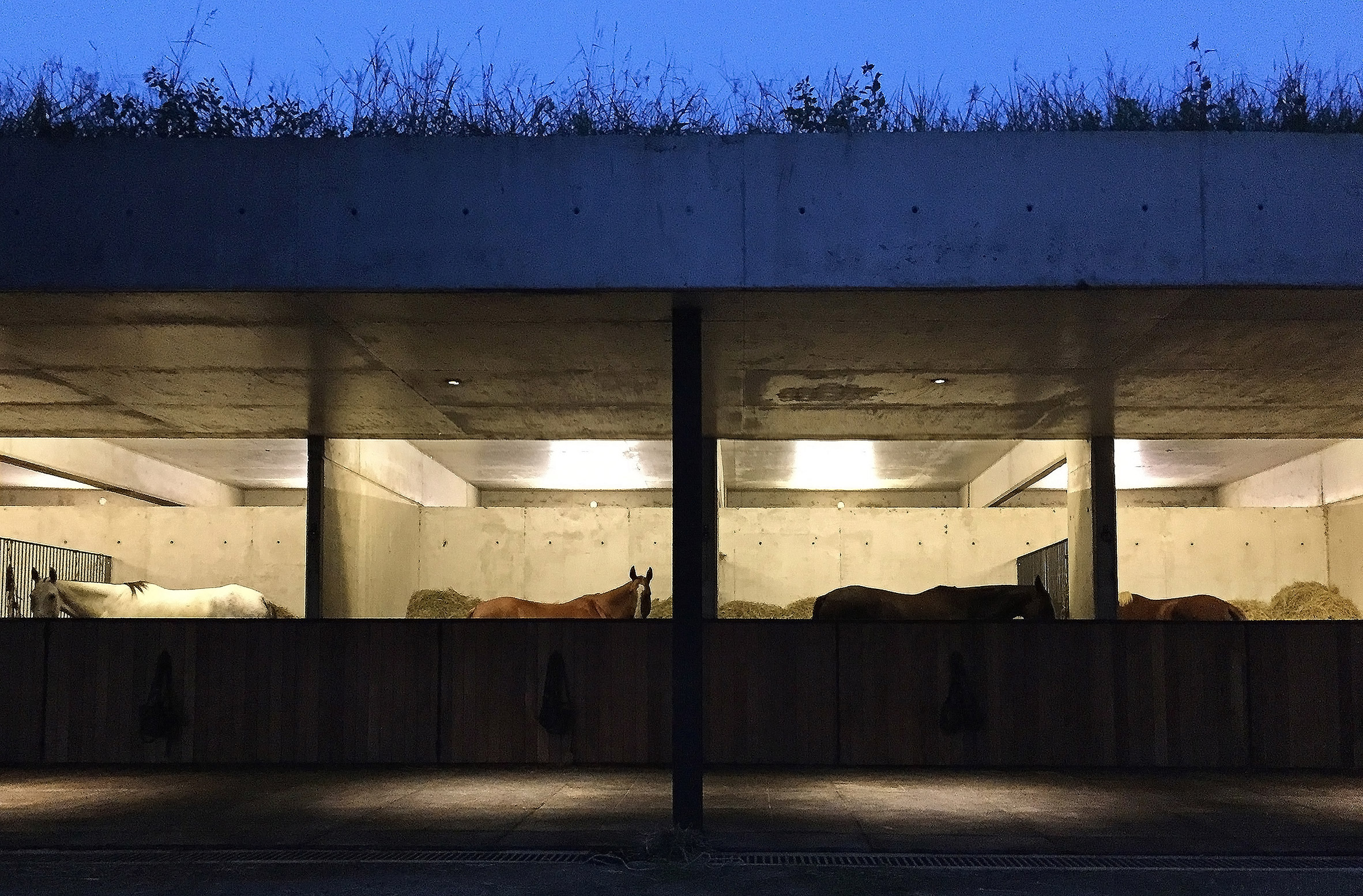 Polo stables features grassy roof for horses to graze and spectators to sit-30