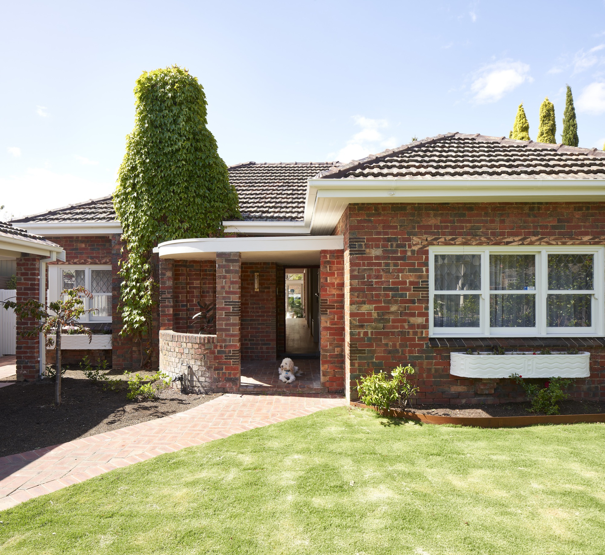 林赛宅邸丨澳大利亚丨Megowan Architectural-23