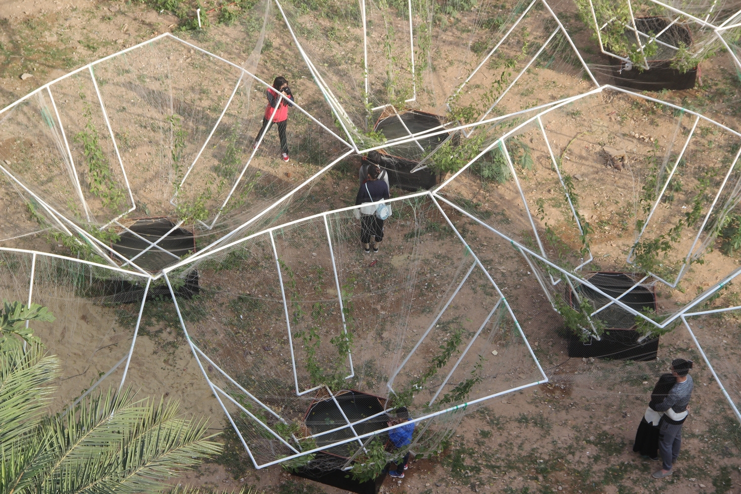 深圳天际农场 · 农民智慧融入城市更新-35